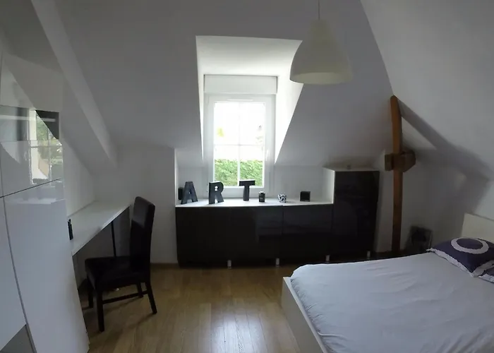 Blue Velvet Yvré-lʼÉvêque